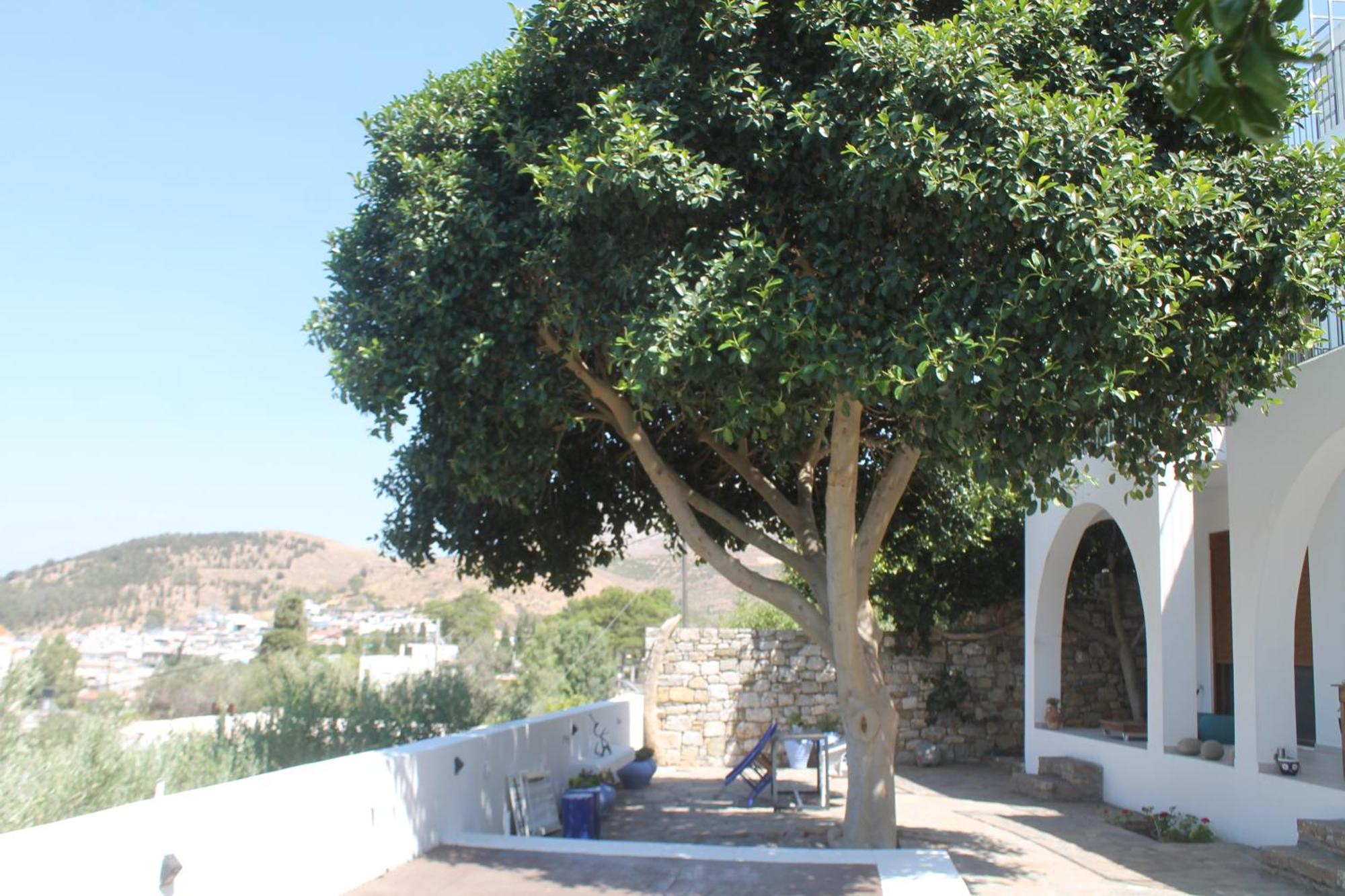 A Crystal Clear House In Pyrgos, Heraklion Crete Pirgos  Exterior foto